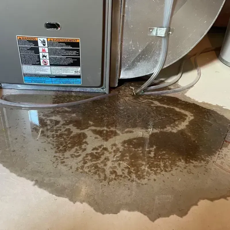 Appliance Leak Cleanup in Breese, IL